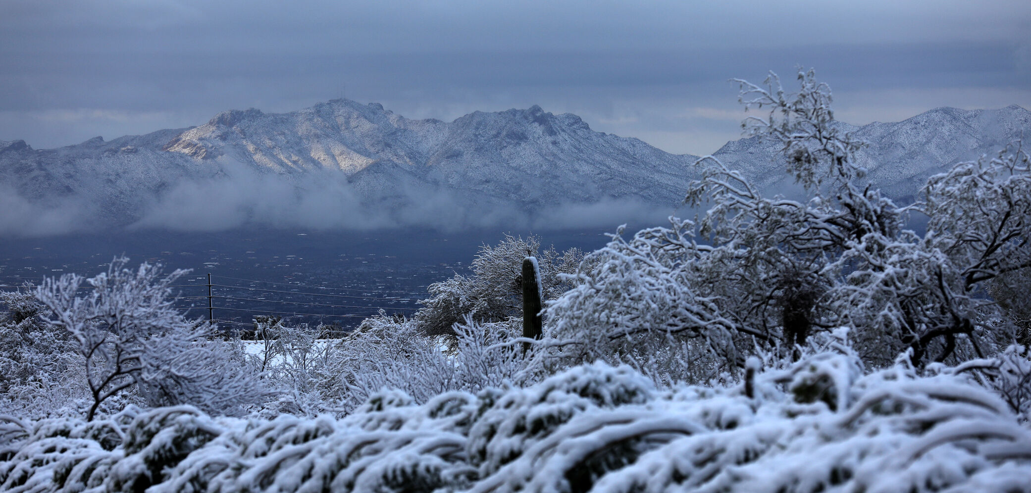 Snow, Tucson, 2023